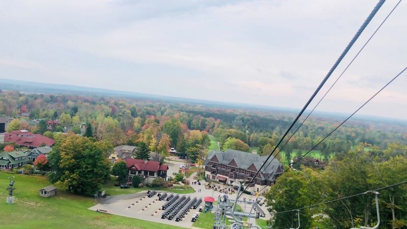 Zipline Adventures Above the Treetops