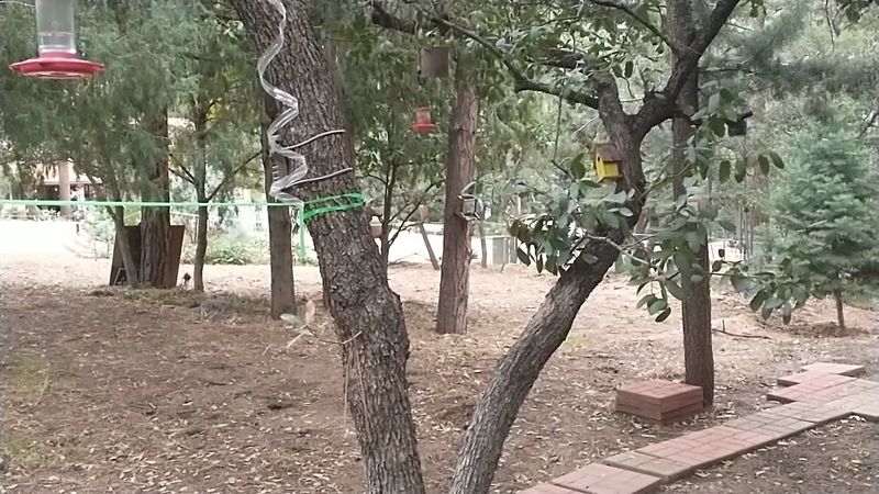 A Cozy Retreat for Artists and Creative Souls