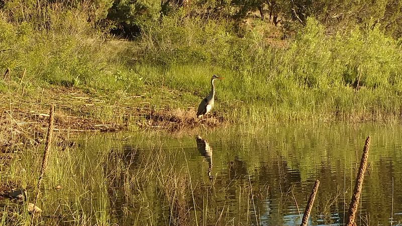 Outstanding Bird Watching Opportunities