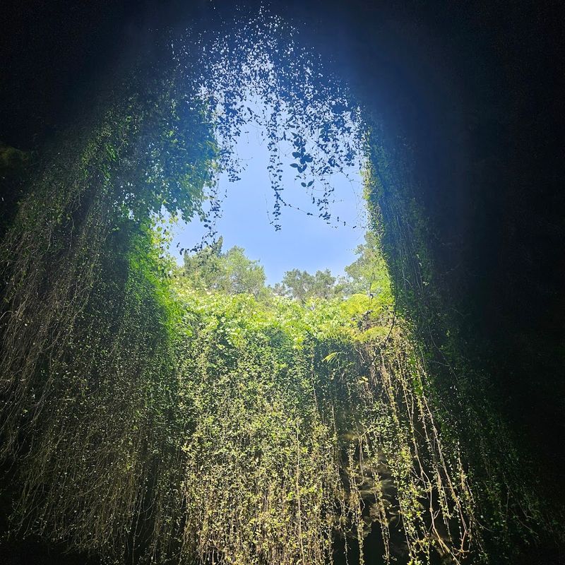 The Eerie Beauty of Stalactites Hanging Overhead