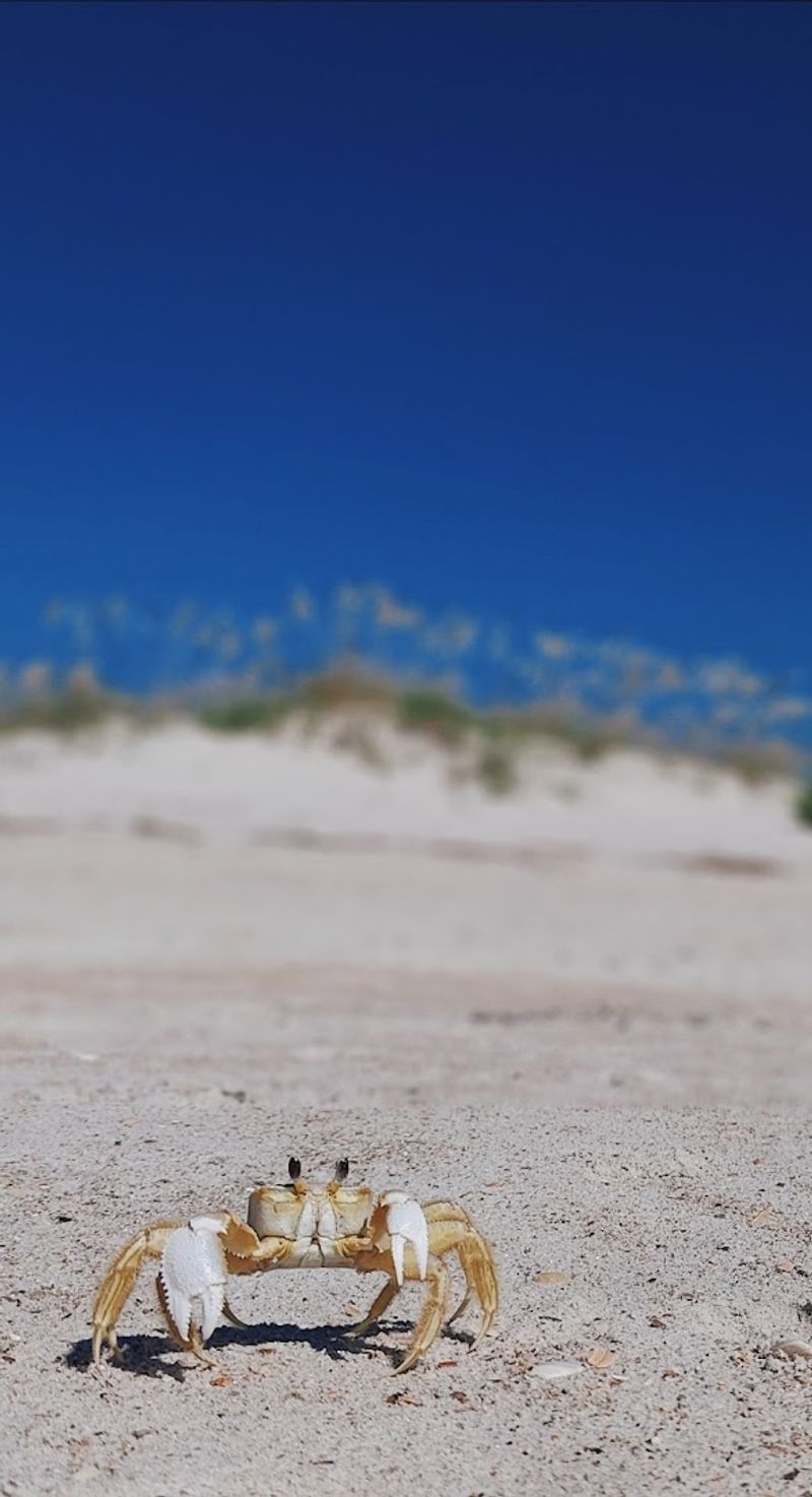 Wildlife That Will Take Your Breath Away