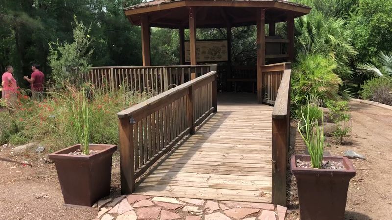 Accessible Trails That Make Nature Welcoming for Everyone