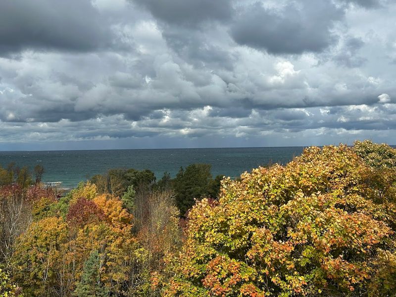 The Tunnel of Trees Drive That Makes the Journey Half the Fun