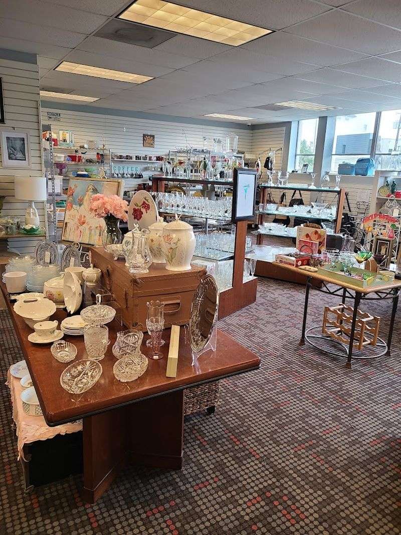 Housewares and Dishware Finds