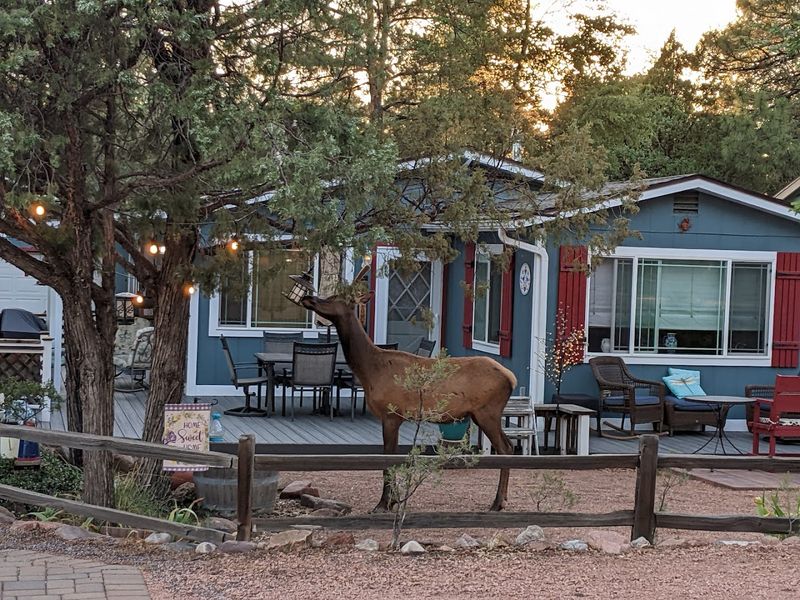 Payson, Arizona