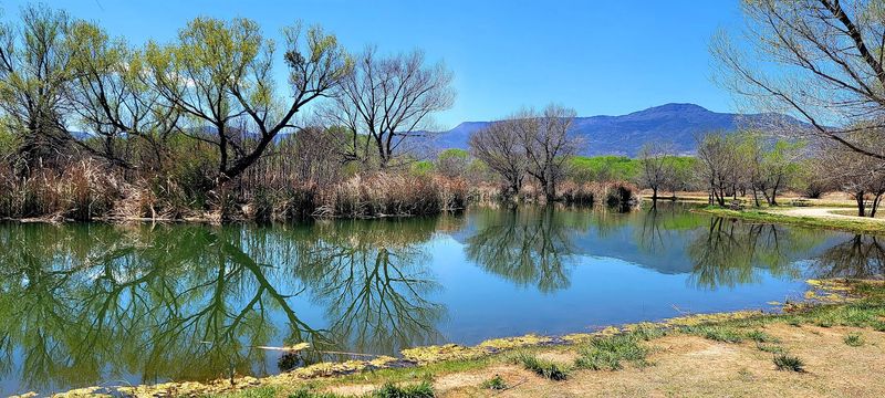 Verde River Greenway and Nature Walks