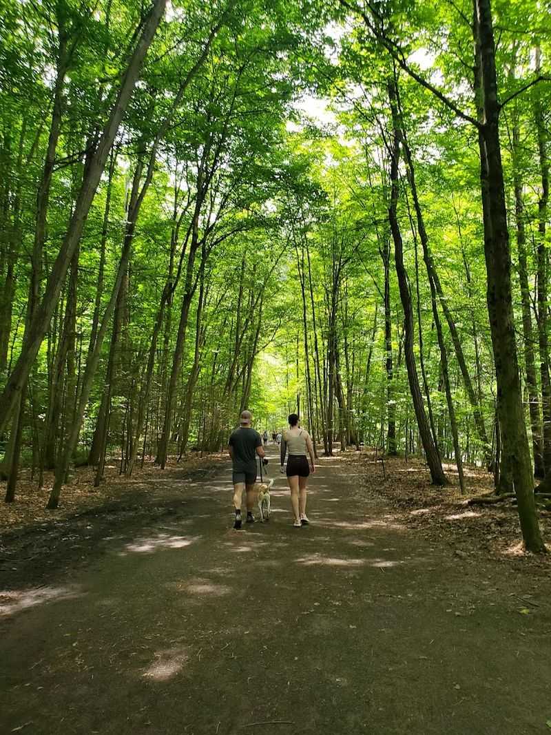 Shade, Comfort, and Trail Conditions