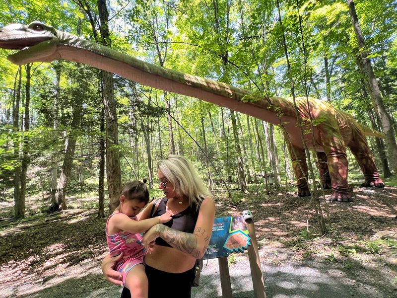 Shaded Forest Setting That Keeps Everyone Cool