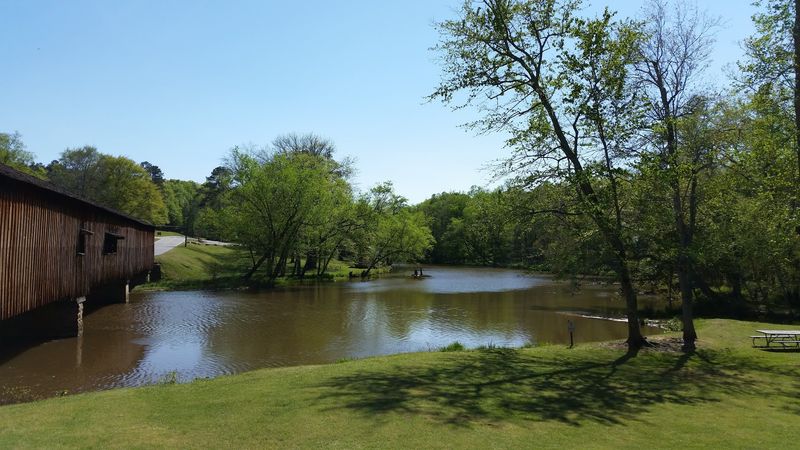 Shaded Picnic Areas with Grills