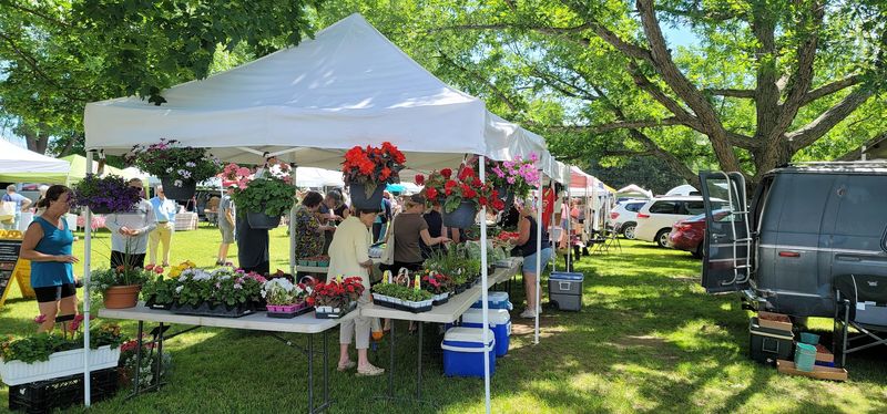 Shelburne Farmers Market - Shelburne, Vermont