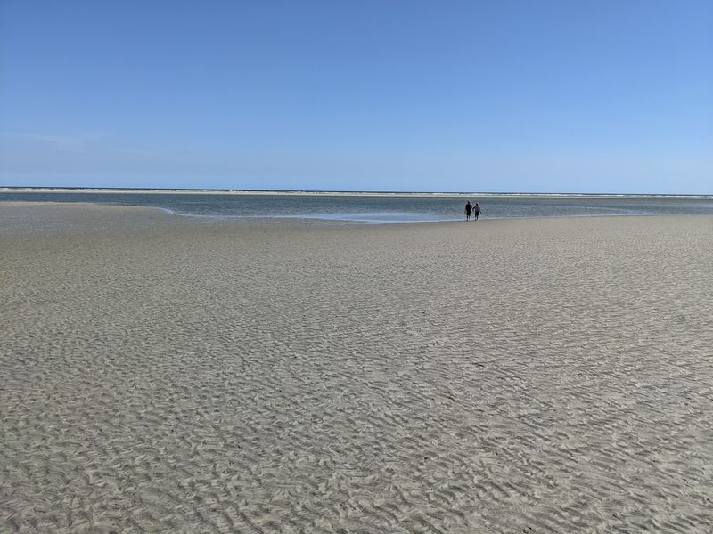 Wildlife Encounters That Will Blow Your Mind