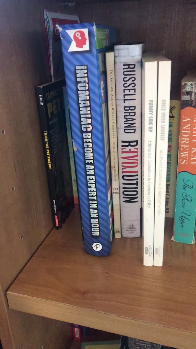 Books, DVDs, and CDs at Prices That Feel Almost Illegal