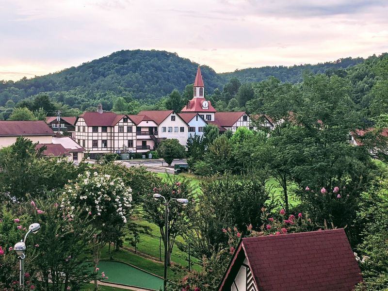 Wildlife Watching: Nature's Greatest Show Surrounds Helen