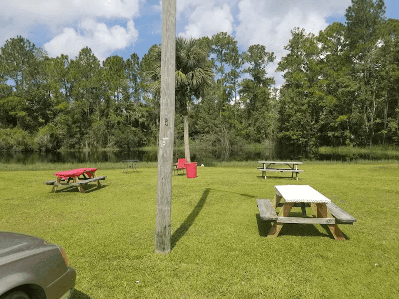 The Backyard Experience: Owen's Unique Waiting Area