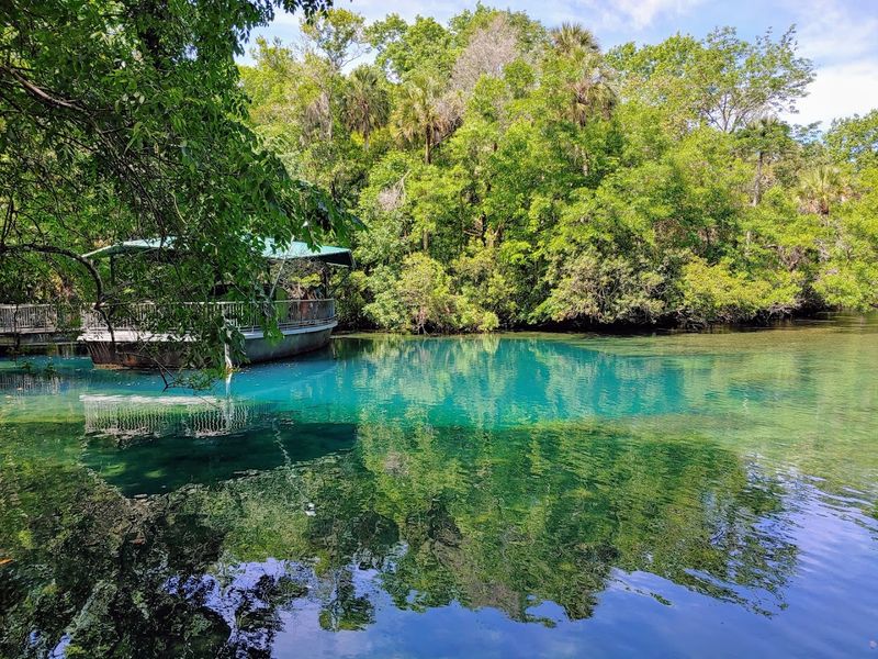 Homosassa Springs Wildlife State Park - Homosassa, Florida