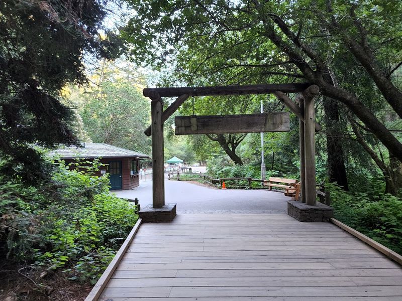 Planning Parking Before You Go (Seriously, Do Not Skip This)