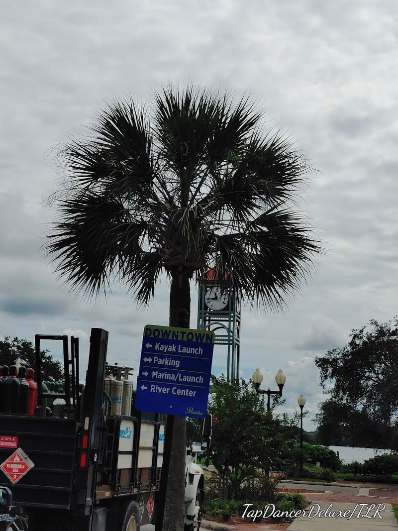 Proximity to Gainesville and Jacksonville for Extra Convenience