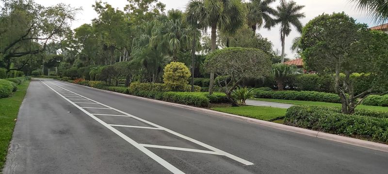 Heat-Tolerant Shrubs That Keep Florida Yards Looking Lush 3 Cocoplum