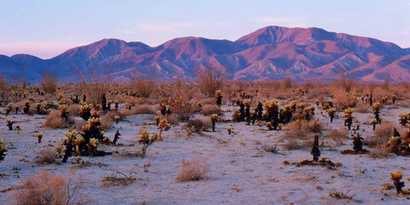 The Charming Town of Borrego Springs