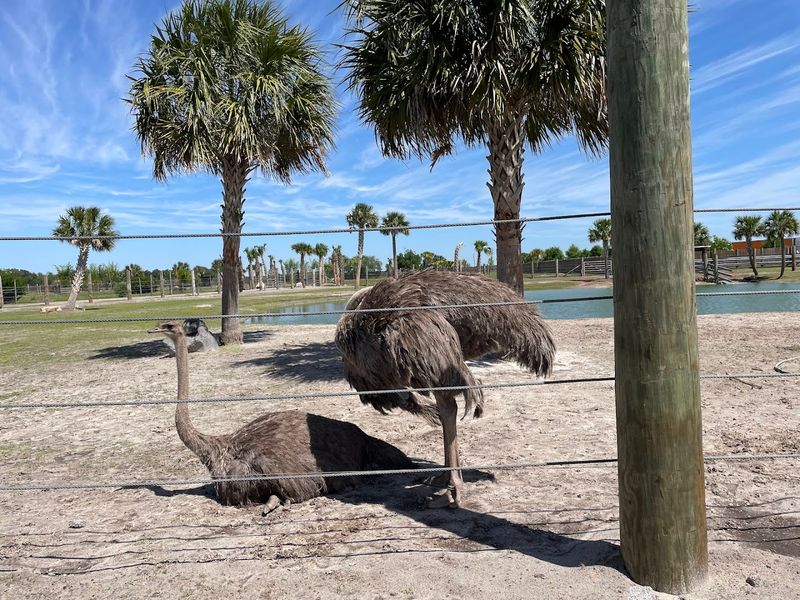 Airboat Rides on the Water