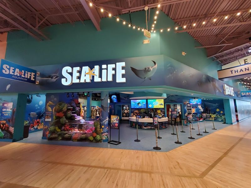 End at the Gift Shop and Final Play Areas