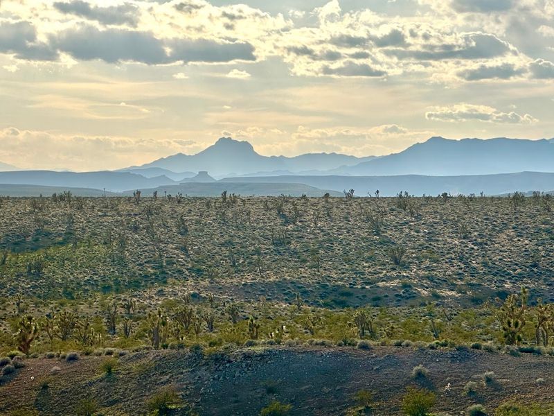 Outdoor Recreation Opportunities