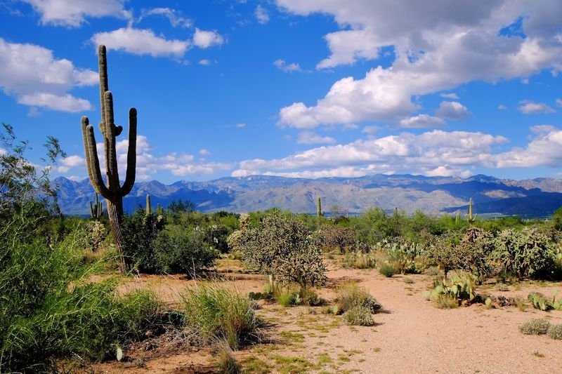 Stunning Mountain Views Surrounding the Town on Every Side