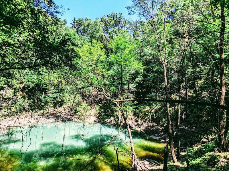This hidden Florida sinkhole park feels so unexpected it almost passes for something out of another state 5 A Unique Microclimate Unlike Anything in Florida