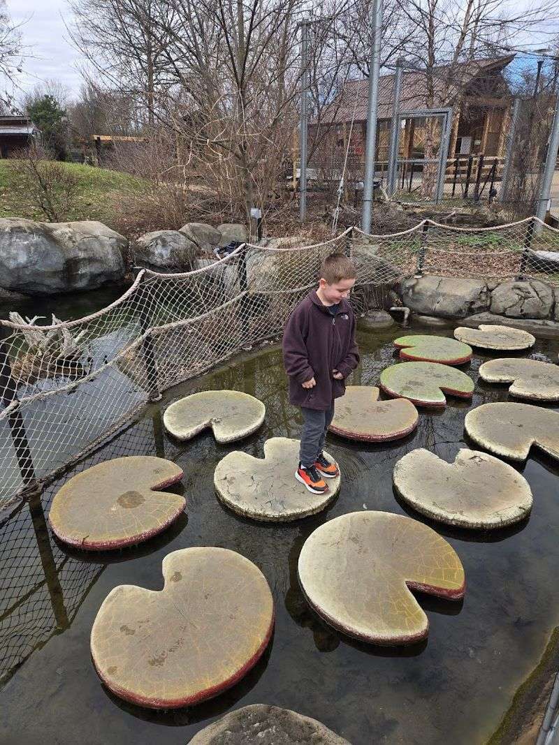 Family-Friendly Rides That Keep Kids Energized All Day