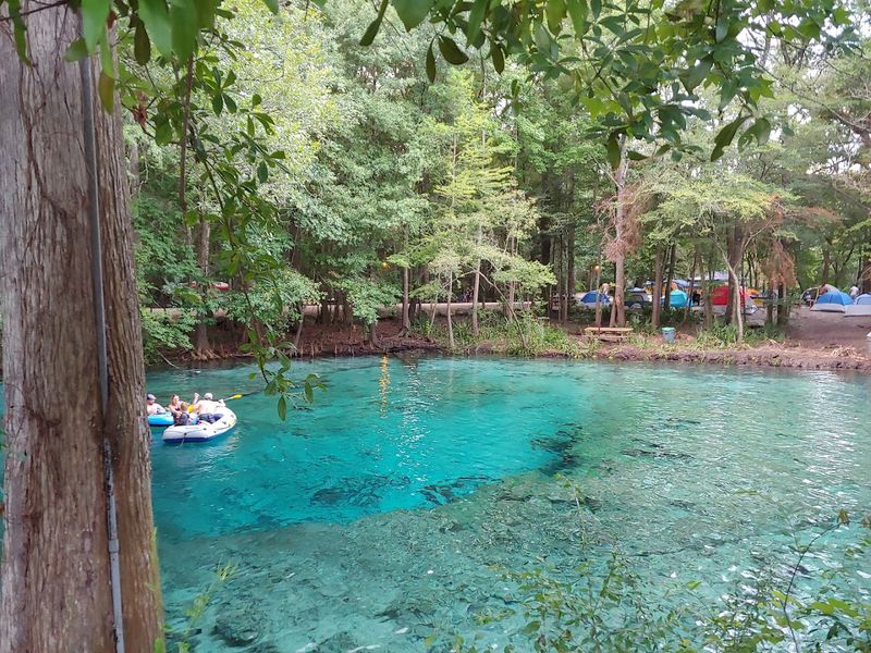 The Lush Green Surroundings That Frame Every Float