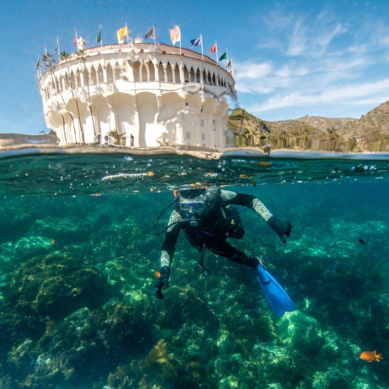 Snorkeling and Water Adventures