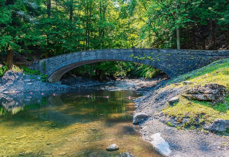 The Natural Swimming Area: A Cool Splash in the Creek