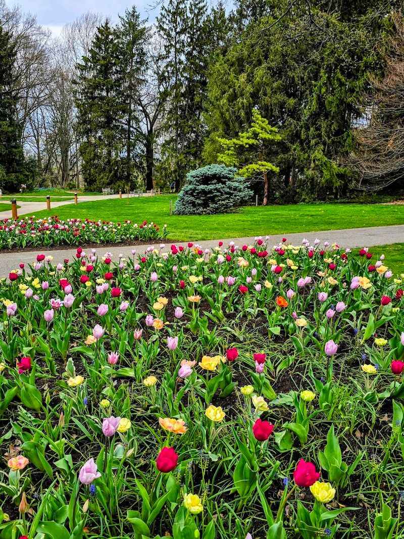 Spectacular Spring Blooms