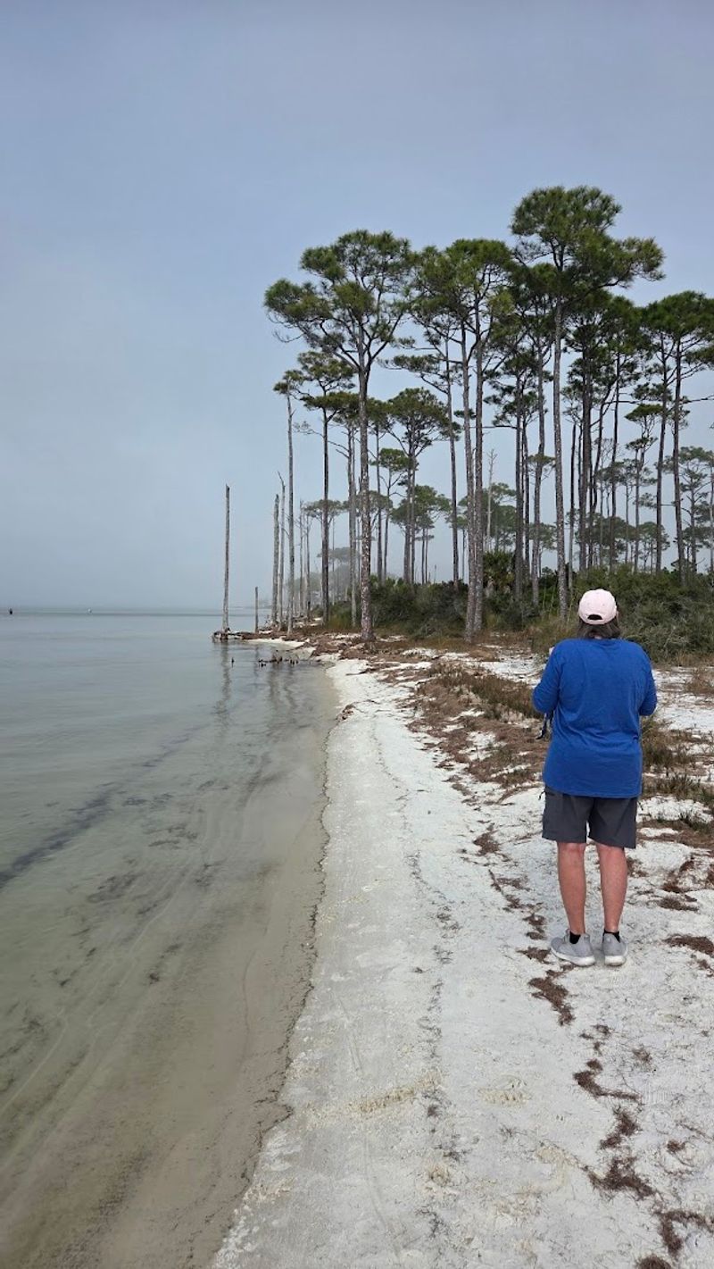 A Real Connection with Nature, Away from Digital Distractions