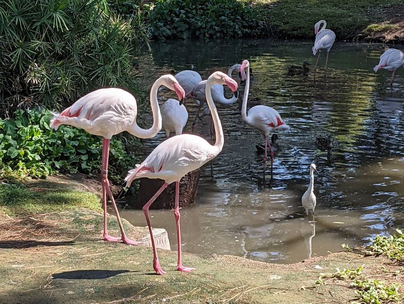 4D Theater Experience