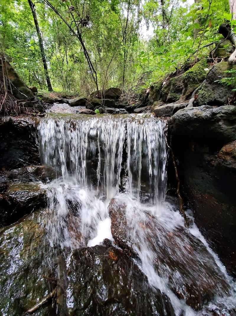 A Rich History Rooted in the 1930s