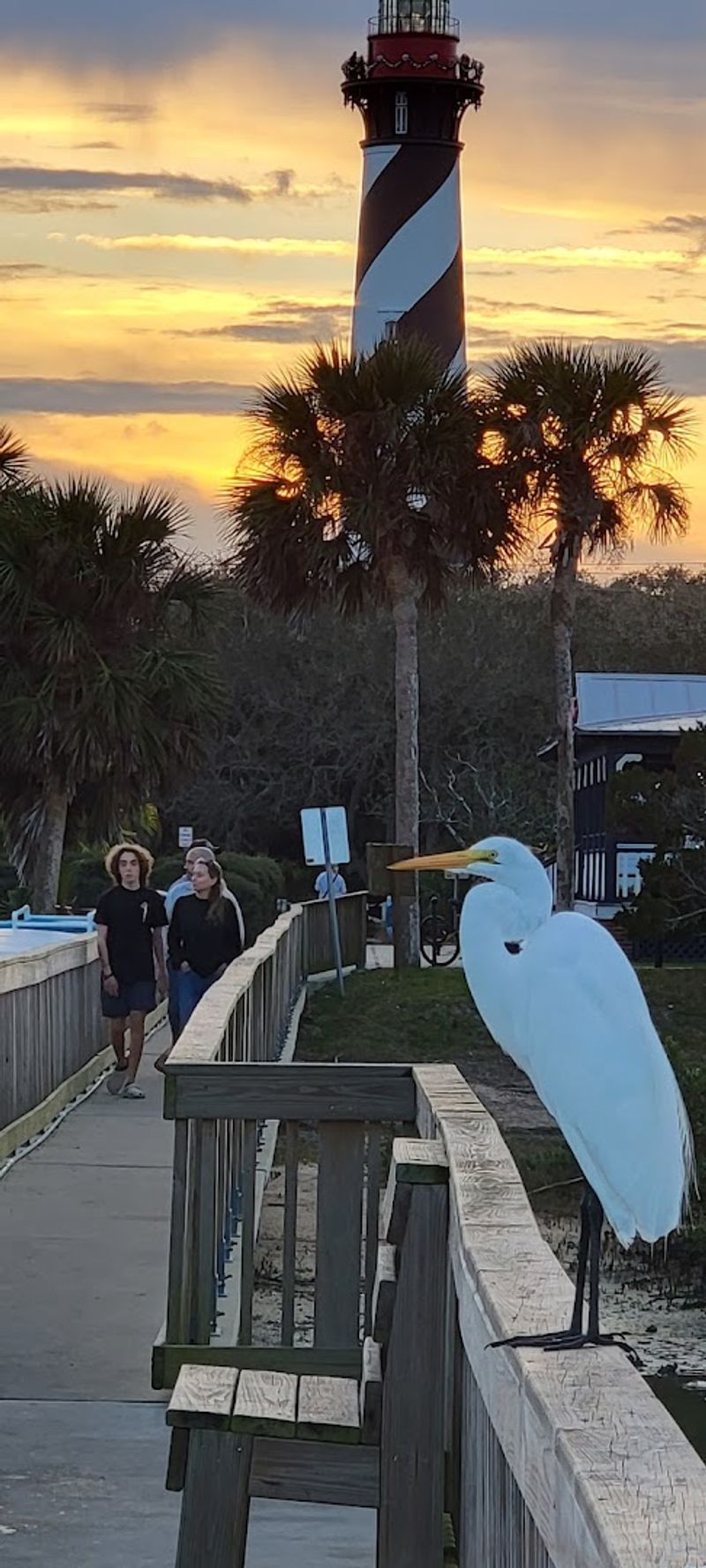 St. Augustine Beach: Laid-Back Vibes and Sandy Shores