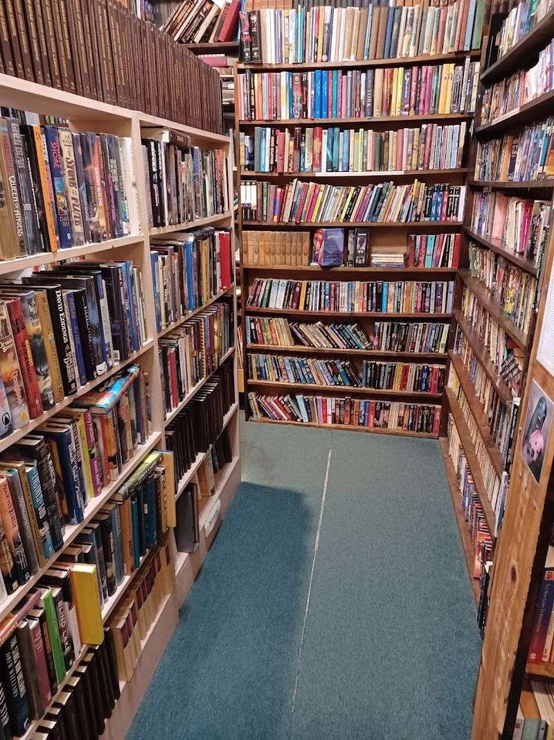 This Florida Bookstore Feels Like A Hidden Treasure Trove For Readers Who Love Getting Lost In The Shelves 7 Wide Genre Selection That Covers Something for Every Kind of Reader
