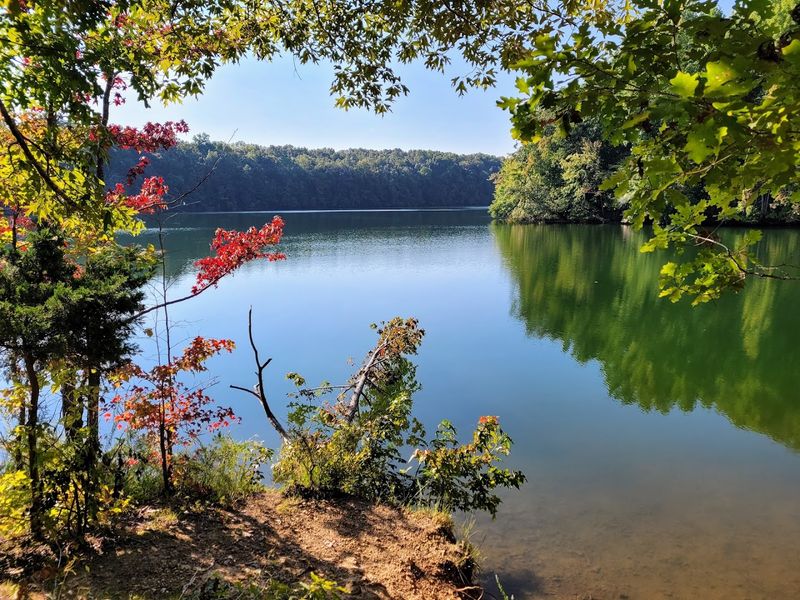 Where to Find Tennessee Views That Seem Too Dramatic to Be Real 18 Tims Ford State Park - Winchester, Tennessee