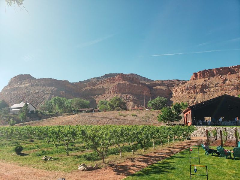 Farm-to-Table Dining That Celebrates Local Flavors