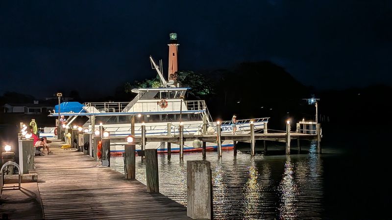 Live Music and Nighttime Magic on the Dock