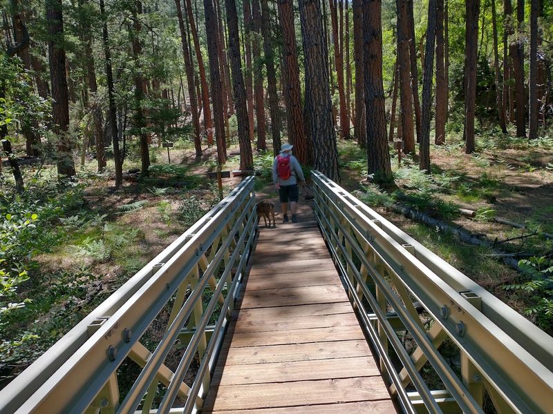 Camping Adventures for Every Type of Outdoor Lover