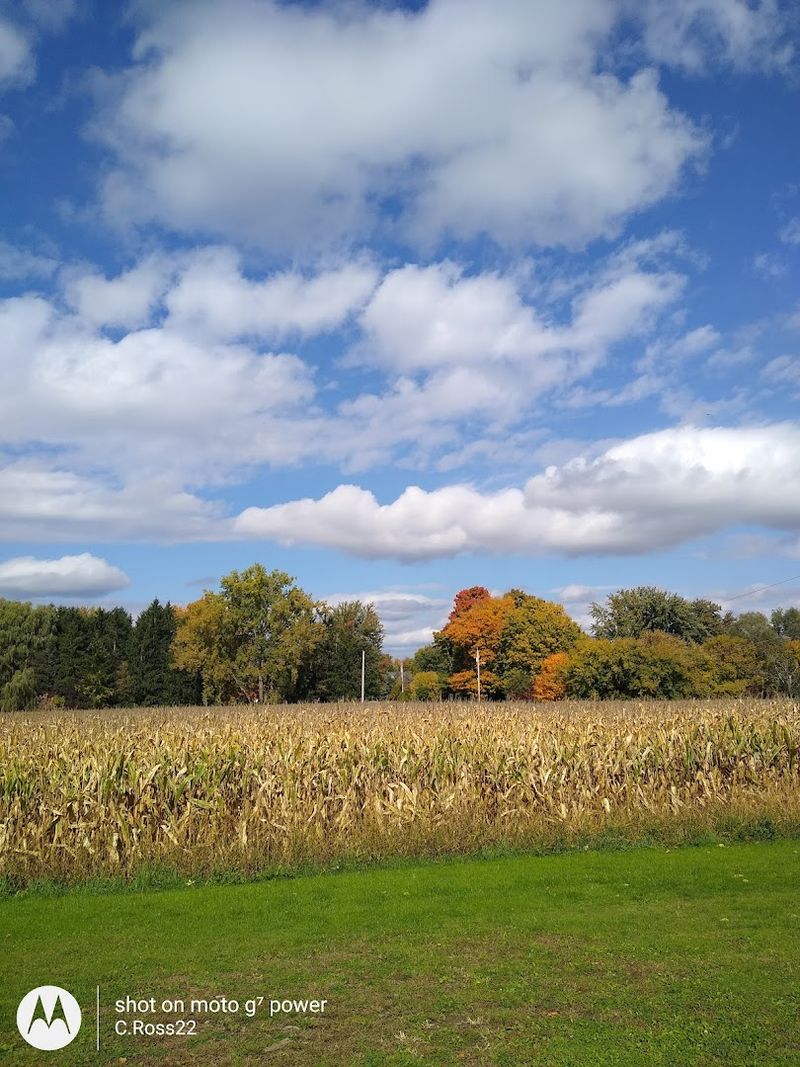 Upstate New York - New York