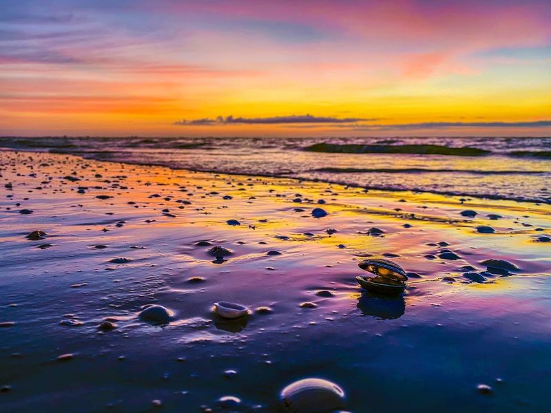 Florida Islands That Feel Far Removed From Everyday Life 8 Sanibel Island - Florida