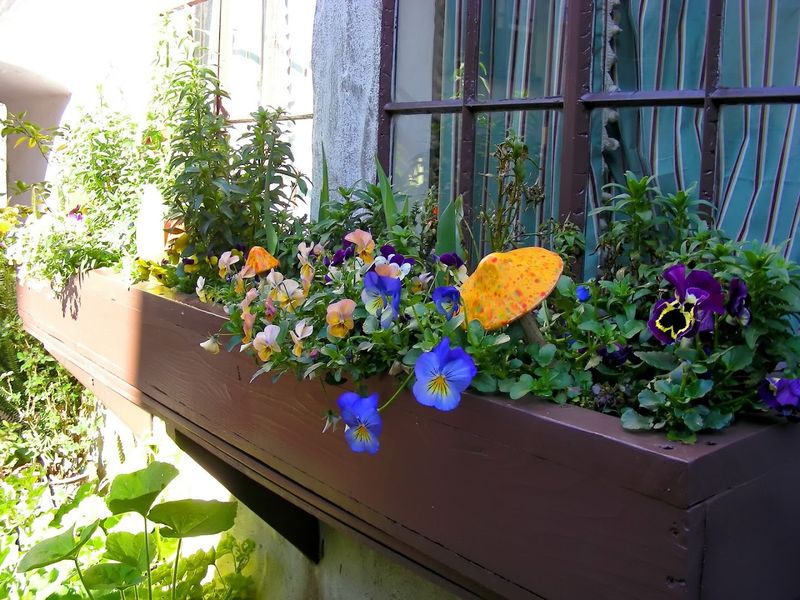 A Favorite Spot for Photographers and Film Crews