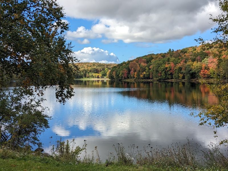 Gilbert Lake State Park - Laurens, New York