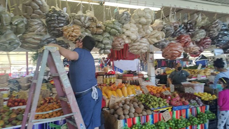 Plants and Garden Supplies for Your Backyard Projects