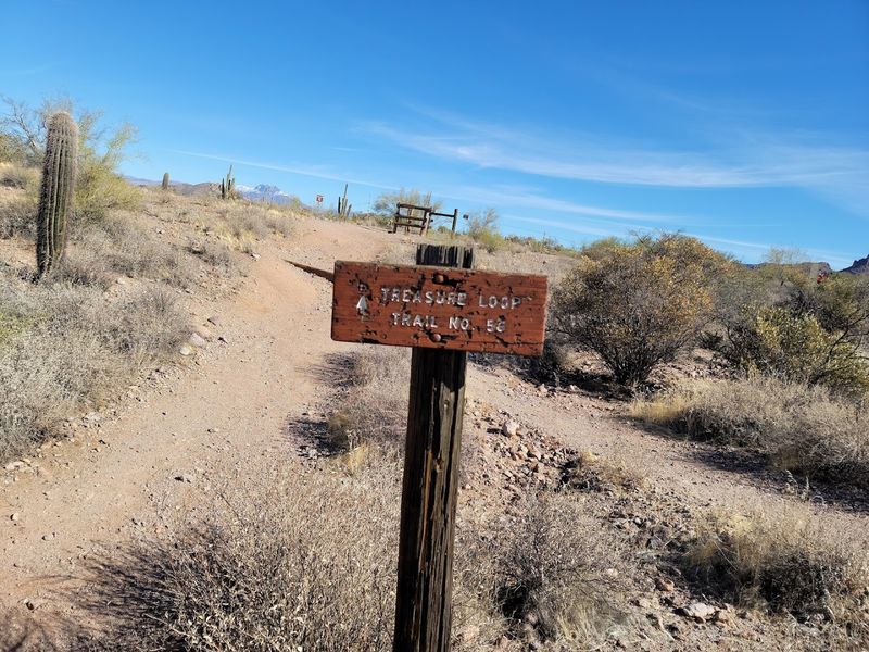 Family-Friendly Easy Trails