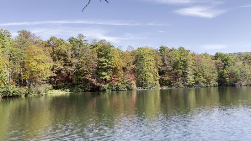 Swimming and Beach at the Lake