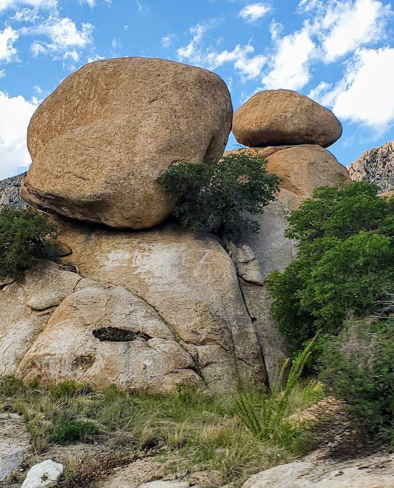 Outdoor Activities That Keep Life Fresh and Exciting